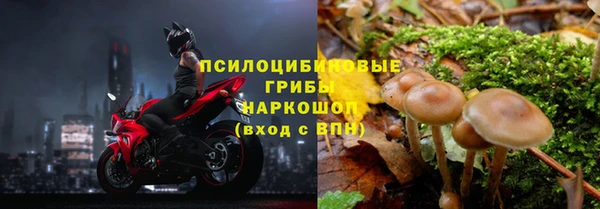 прущая мука Вязники